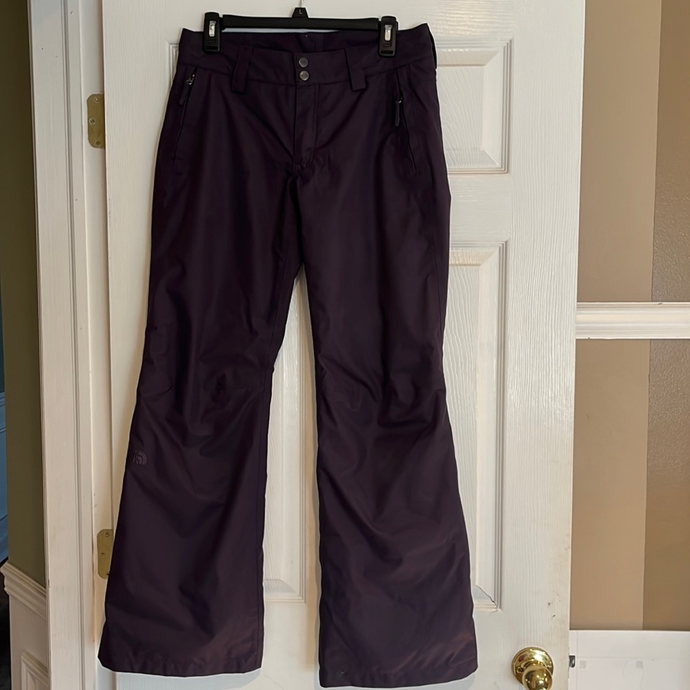 The North face womens snow pant